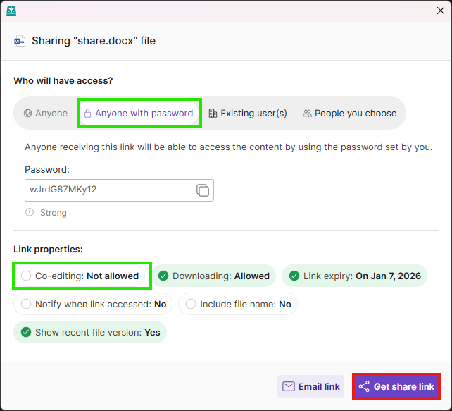 Egnyte share window